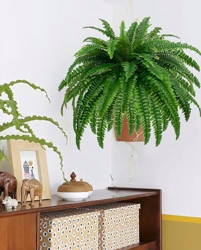 Large Fake Boston Fern with 88 Branches