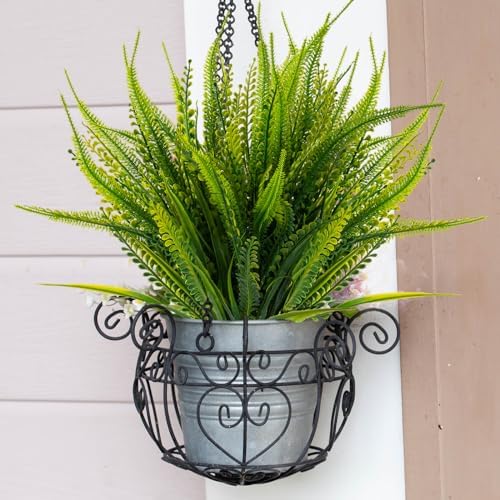 12 Boston Fern Bundles Outdoor