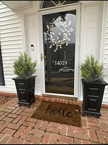 Authentic Boxwood Koch-shaped Topiary