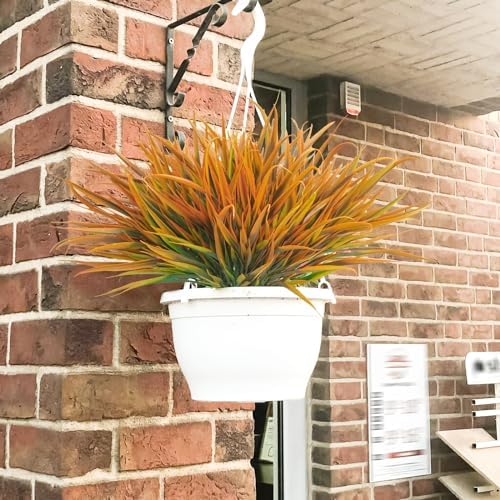 Vivid Fall Outdoor Plants