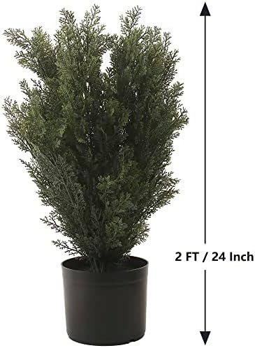 Realistic Cedar Topiary for Front Porch
