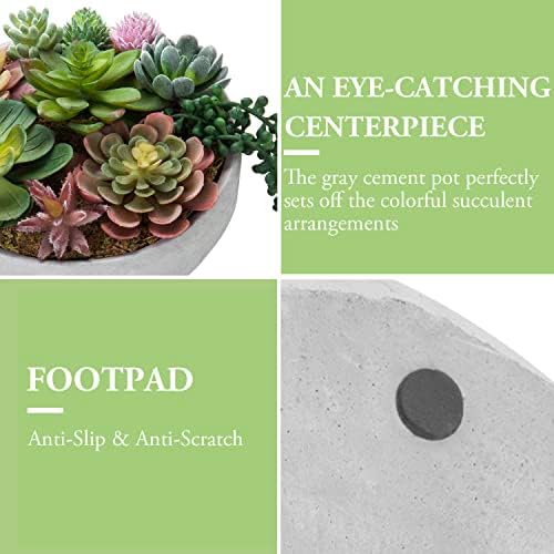 Modern 8-Inch Succulent Arrangement
