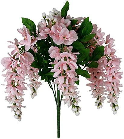Ashland Pink Wisteria Bush 25x15x25 1Bush