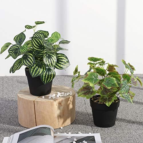 Realistic Fake Watermelon Leaves Plant