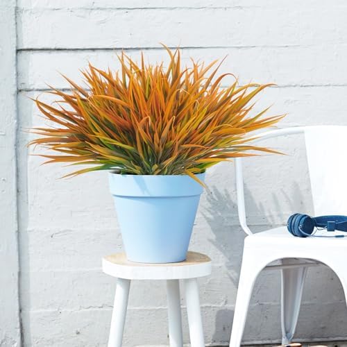 Vivid Fall Outdoor Plants