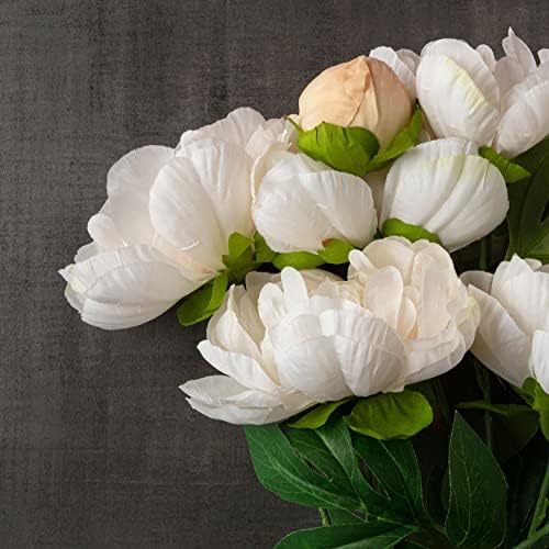 Elegant Cream Peony Bush by Ashland