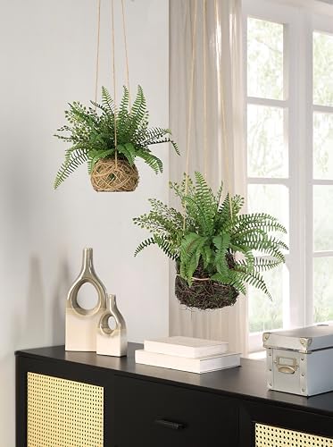 E cant Hoff Plant for Home Outdoor Decor