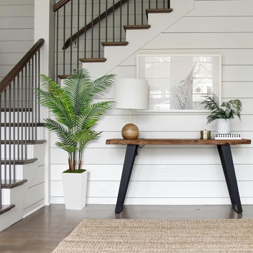 Indoor Palm Tree for Home Decor