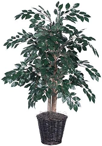 Vickerman TBU0740 4 Green Dark Sakaki Bush