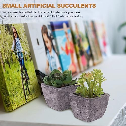 2PCS Fake Succulents Miniature Potted Succulents