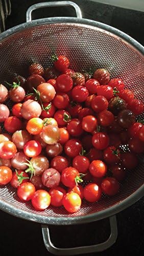 Silver 5-Quart Precision Colander