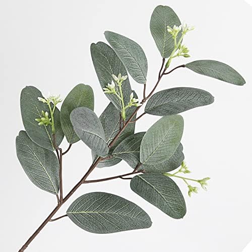 Handpicked Oval Green Eucalyptus Stems for Home Decor