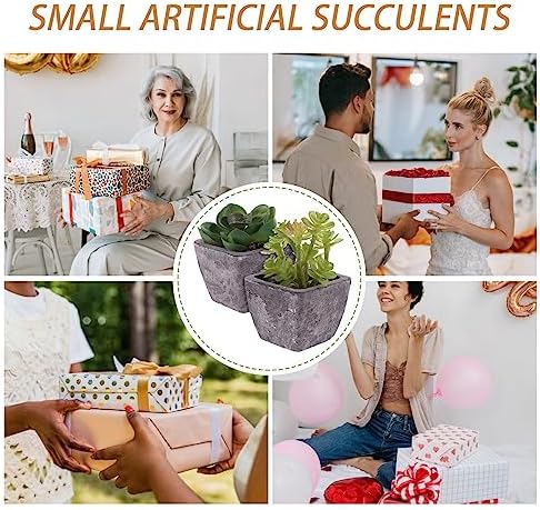 2PCS Fake Succulents Miniature Potted Succulents