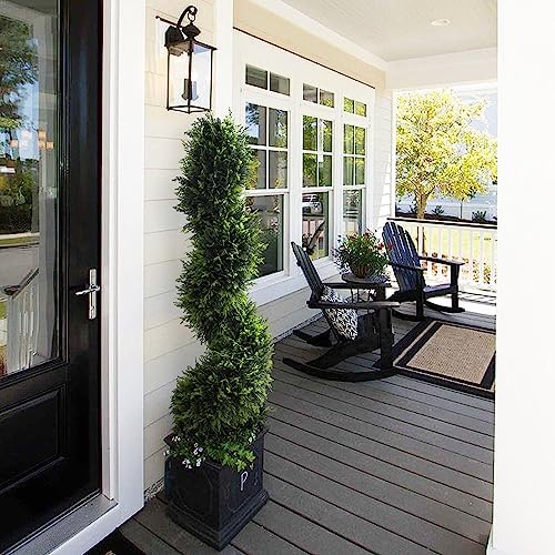 Stylish Cedar Spiral Topiary Set
