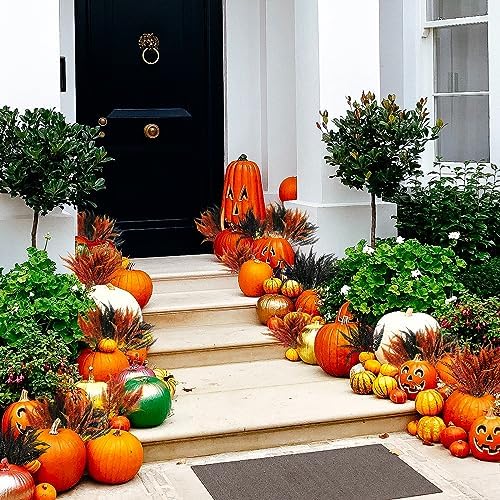 SNAIL GARDEN 12-Piece Halloween Orange Black Boston Fern