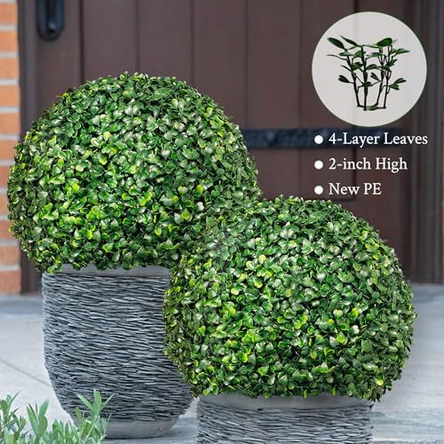 Distinct Boxwood Topiaries for Backup