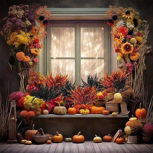 SNAIL GARDEN 12-Piece Halloween Orange Black Boston Fern