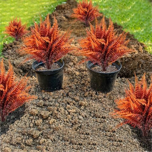 Beautiful Fake Fern Plants for Your Home and Outdoor Spaces