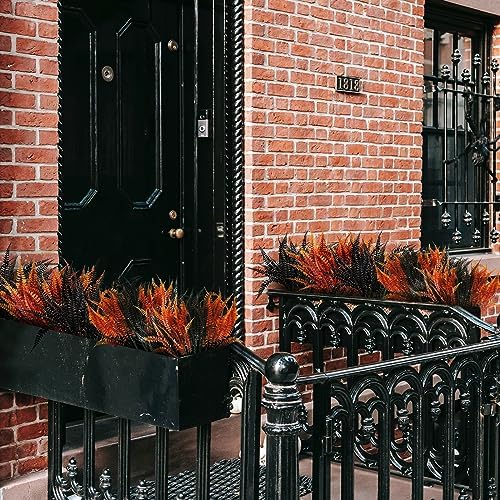 SNAIL GARDEN 12-Piece Halloween Orange Black Boston Fern