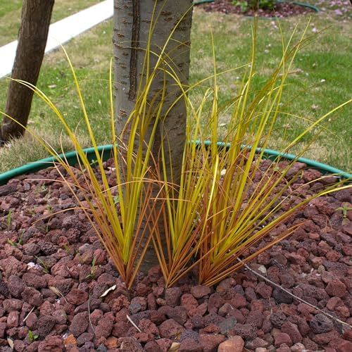 20pcs Outdoor Artificial Plants