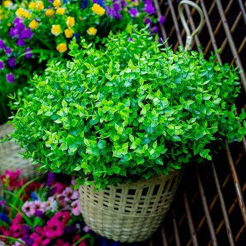 Durable Outdoor Artificial Boxwood Shrubs