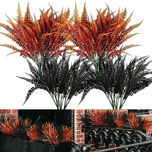SNAIL GARDEN 12-Piece Halloween Orange Black Boston Fern