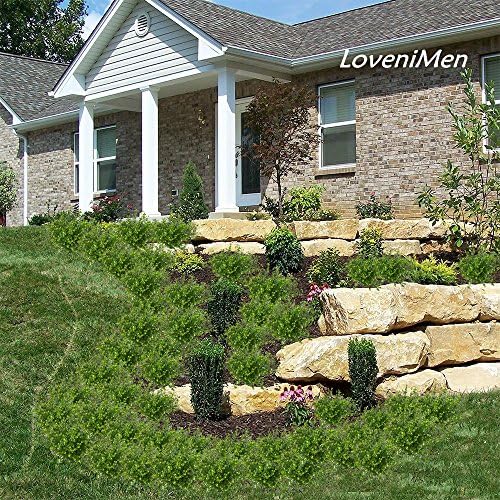 Genuine Plastic Shrubs Unique Fake Greenery for Home Garden More